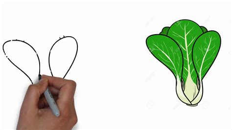 pechay picture drawing|CHAPTER II.docx .